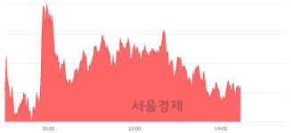 국일신동, 전일 대비 8.08% 상승.. 일일회전율은 96.61% 기록