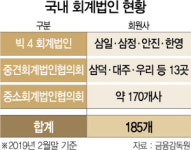 법인외마촌유 | "헌법소원도 불사"···신외감법에 뿔난 중소회계법인
