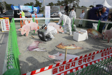 아프리카돼지열병 시료채취 훈련 철저하게