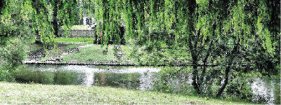 [시로여는 수요일] 심은 버들