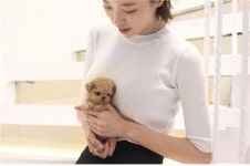 강아지분양기업 펫갤러리아·펫제이, 5월 빅 이벤트로 인천·파주 지역 인기