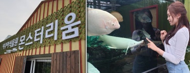 인천 정서진의 명소 아쿠아 식물원 몬스터리움, 인천 서구 자연생태관 개장. 희귀동식물 멸종위기종 보호 전시구역