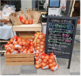 양파·마늘 농가 눈물, 서울시가 닦아요