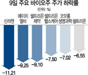 셀트리온 3형제 와르르...바이오株 속수무책