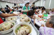 [사진]초복맞이 삼계탕 나눔