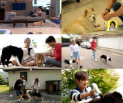오래봐도 예쁘다 곽동연, 스타견 짱절미 넘어 치타母 마음까지 사로잡다
