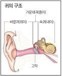 난청환자 80%, 비싼 보청기 대신 소리증폭기로 OK