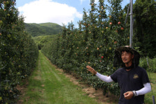 당도·품질 高高...롯데의 신선한 추석