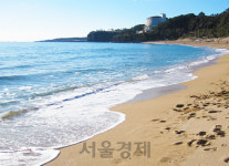 제주 서귀포 해수욕장서 30대 숨진 채 발견(속보)