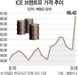 [사우디 피격에 중동 요동] 유가 19% 폭등..트럼프 공격 준비됐다 보복 시사