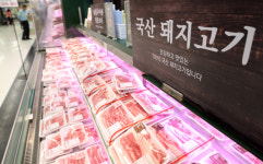 청암정육코너 | 돼지열병에...발길 뜸한 정육코너