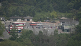 끝나지 않은 ASF 전쟁에···파주시, 오늘부터 DMZ 관광 잠정 중단