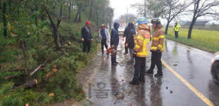 태풍 ‘미탁’으로 ‘물 폭탄’ 맞은 대구경북···6명 사망, 1명 실종
