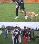 TV 동물농장 자몽이, 2회 연속 세계 제패에 성공할 수 있을까?