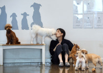 [펫코노미] 펫시터·펫택시···펫일자리 쏟아진다