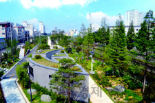 ‘포항 철길숲’, ‘2019년 녹색도시 우수 사례’ 최우수