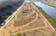 [뉴스터치]구로구, 안양천에 생태초화원 조성