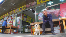 TV 동물농장 슈퍼집 견공 순돌이의 일편단심 이야기