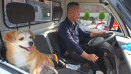 TV 동물농장 슈퍼집 견공 순돌이의 일편단심 이야기