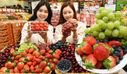 롯데마트, 상큼한 겨울과일 드세요