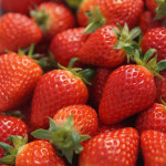 [강레오의 테이스티오딧세이] 한번 맛보면 못 잊는다, 맛도 향도 꽉찬 장성딸기