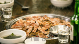 송년회 단골메뉴 삼소·치맥···환경파괴 주범이라고?[썸오리지널스]