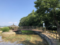 함평 해보 모평마을숲 ‘국가산림문화자산’ 지정