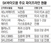 [반등 노리는 바이오제약] SK바이오팜, 뇌전증 신약 2분기께 美 출시