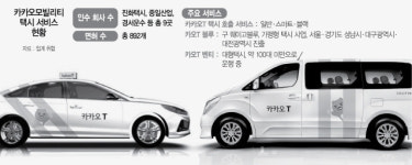 타다 무죄 1주만에...카카오 렌터카 모빌리티 진출 검토