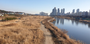 송도 달빛공원에 18홀 규모 파크 골프장 만든다