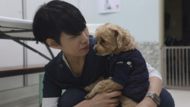 TV 동물농장 돌아온 웰시 8군단과 견생 2막을 연 레트리버 녀석들