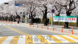 내일(2일)부터 윤중로 전면 통제