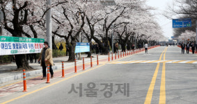 내일(2일)부터 윤중로 전면 통제