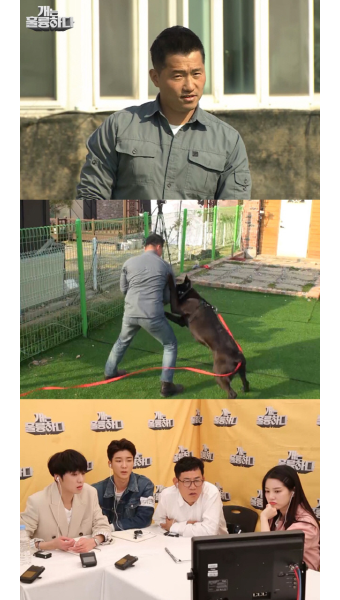 '개는 훌륭하다' 목줄·입마개도 풀고 강형욱 기습 공격한 고민견···
