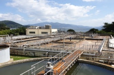 中企조합, 지역경제 부흥 주도한다