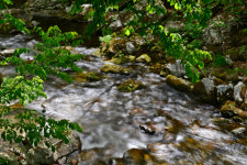 [休]열목어 노니는 청정계곡...이몽룡 흔적 깃든 고택