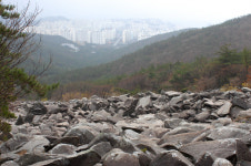 부산 해운대 허파 장산 구립공원 지정 추진