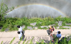 산책하며 즐기는 무지개