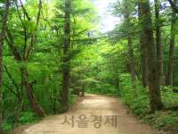 몸과 마음 치유하고, 나눔으로 함께하길