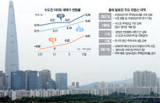 부동산 규제 22번의 펀치에도···서울 집값 맷집만 커졌다