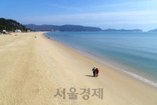 완도 신지 명사십리 해수욕장, 안심 예약제 시행