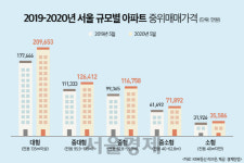 애물단지에서 보물단지로···1년 새 18% 오른 서울 대형아파트