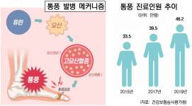 [건강 팁] 발가락 통증엔 소염제? 만성 통풍으로 키울라