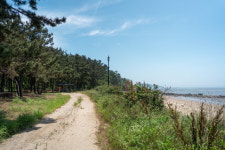 [休] 인적 드문 섬에서 길을 만나다