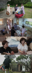 박원숙의 같이 삽시다 평균 나이 66세 네 자매, 남해에서 동거 생활 시작