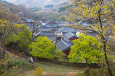 [여행단신] 문체부, 전국 불법 야영장 집중 단속 外
