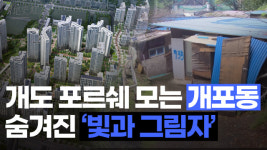 개도 포르쉐를 탄다는 개포동에 숨겨진 빛과 그림자가 있다? [영상]