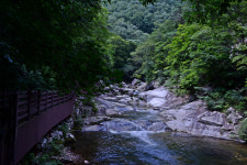 [休] 무진장 핫한 요즘···무진장 쿨한 요람