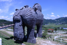 [休] 무진장 핫한 요즘···무진장 쿨한 요람