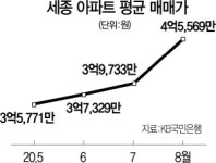 與 집값 안정이라더니... 천도론 세종 84㎡ 11억 거래